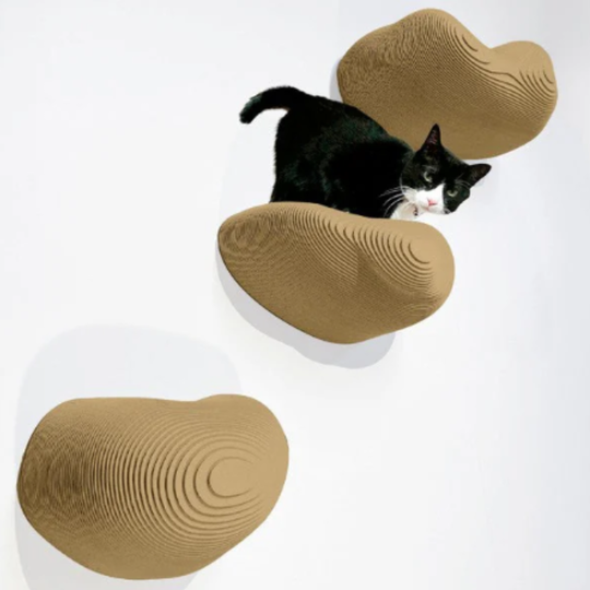 猫壁（にゃんぺき） - 千葉市若葉区みつわ台の㈱みつわリフォーム