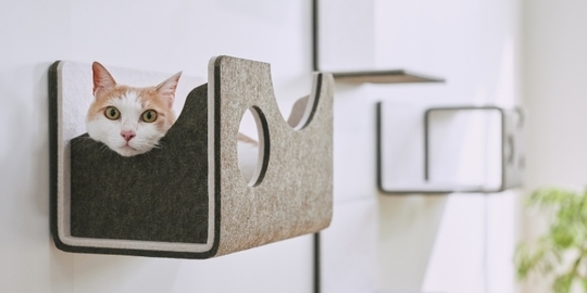 猫壁（にゃんぺき） - 千葉 株式会社みつわリフォーム 建設業